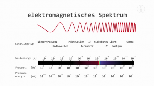 FWU – The electromagnetic spectrum (Director)